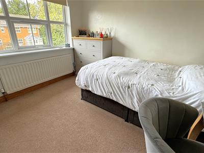 Picture 13